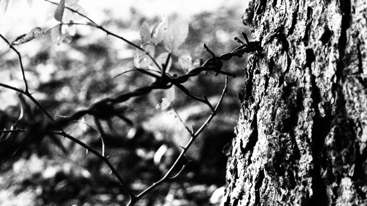 I am a good&nbsp;person